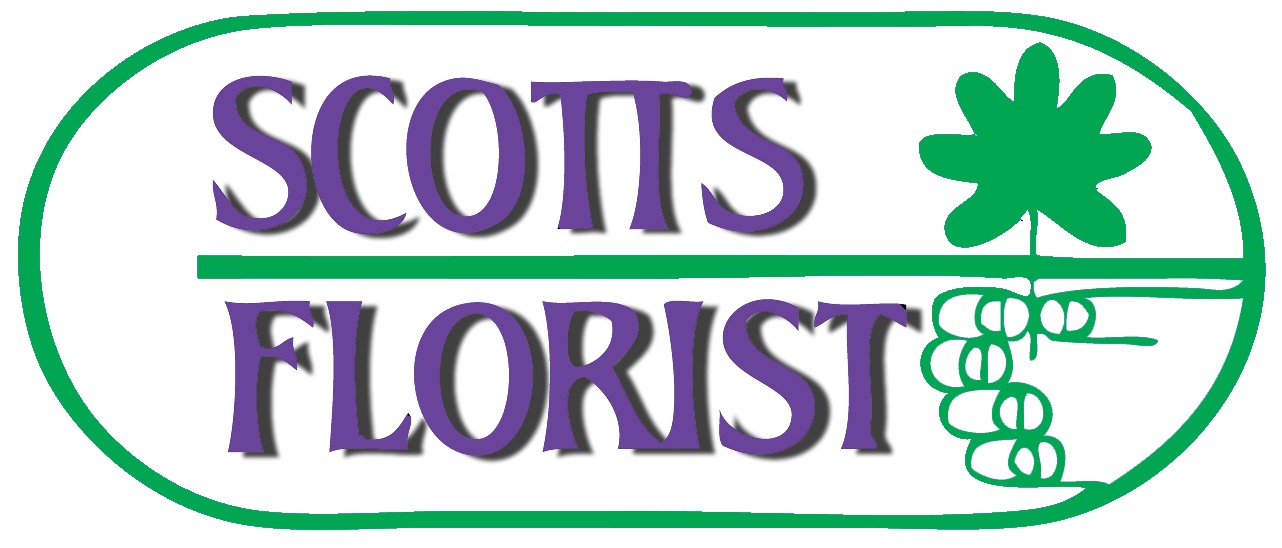 scotts florist saranac lake new york